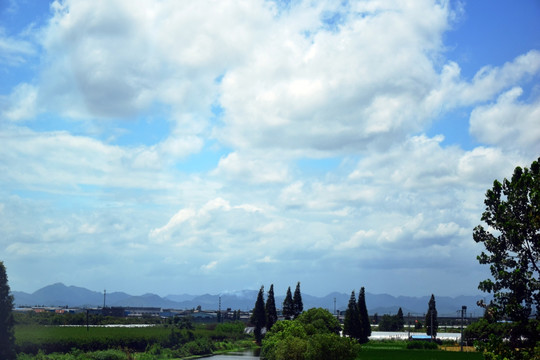 绿色原野和蓝天白云风景