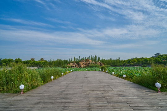 潘安湖湿地 高清大画幅