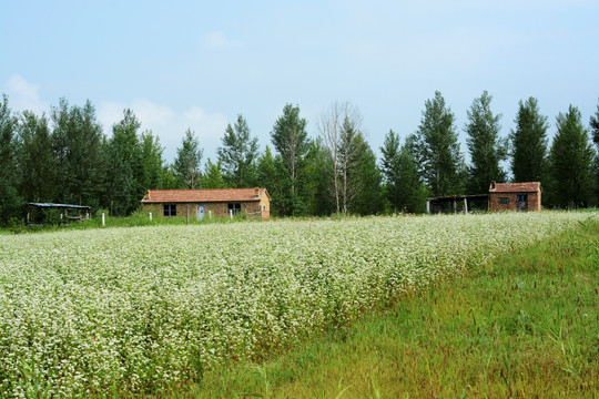 山中小屋