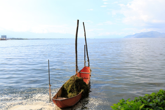大理洱海 打捞水藻船