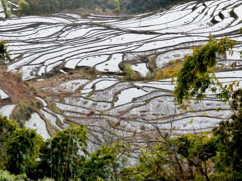 梯田油画