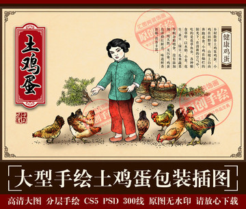 土雞蛋包裝 散養(yǎng)雞插圖