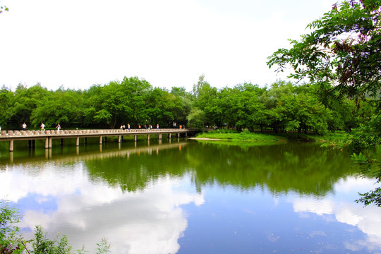 山水风景