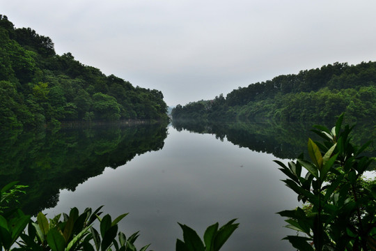 水库 洈水水库