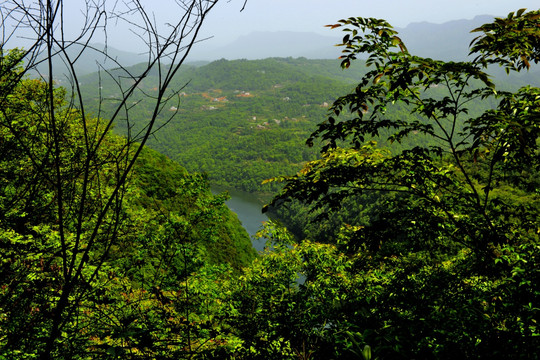 山区景色 绿水青山