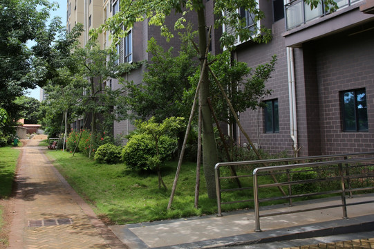 广东徐闻 高层住宅小区内景