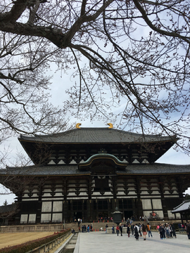 奈良寺庙