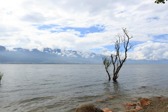 大理 洱海风光