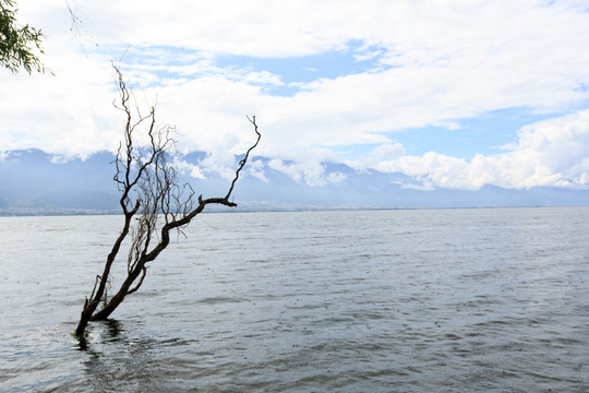 大理 洱海风光