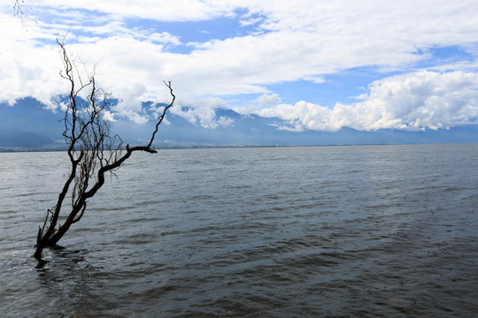 大理 洱海风光