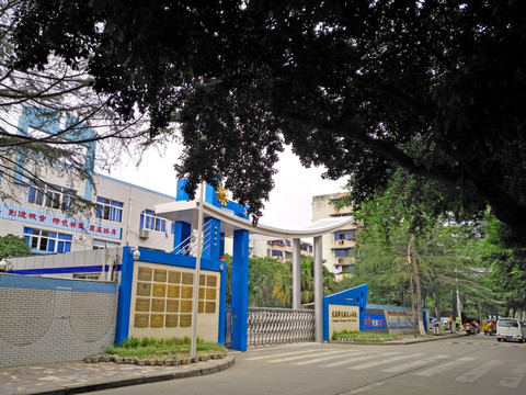 学校校园 小学校园