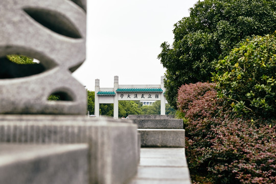 国立武汉大学