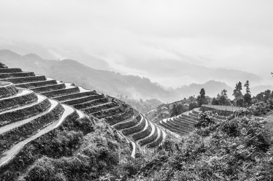 意境黑白梯田