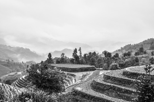 意境黑白梯田