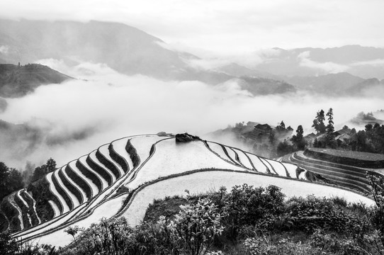 意境黑白梯田