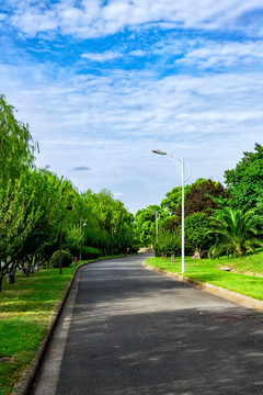 绿化 沥青路