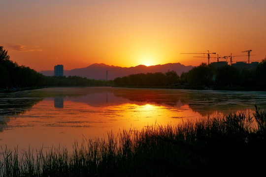 夕阳西下 刺猬河