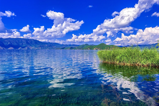 泸沽湖 湖面