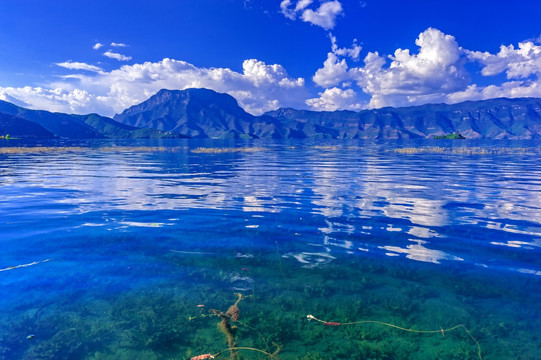 泸沽湖 湖面