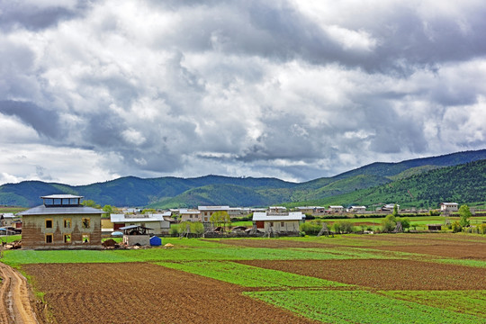 新农村 藏区新农村 西部新农村