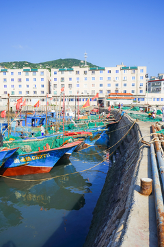 渔村 渔船码头 海鲜交易 舟