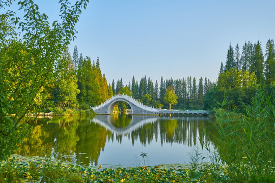 城市水景公园 邳州桃花岛公园