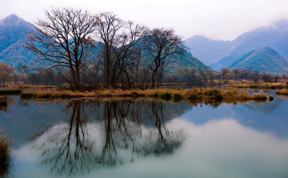 大九湖