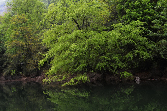 水库 美丽乡村