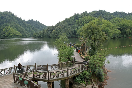 贵州赤水天鹅湖