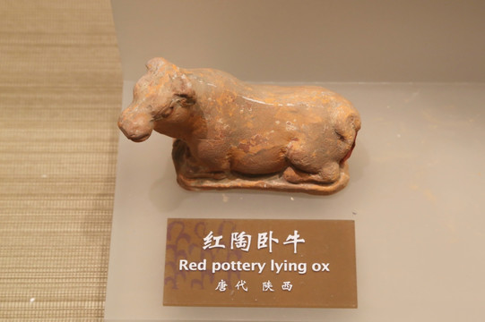 唐代红陶卧牛