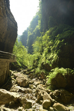 绥阳双河洞