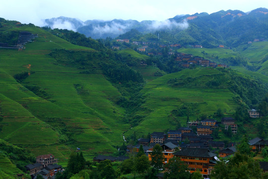 龙脊梯田 梯田