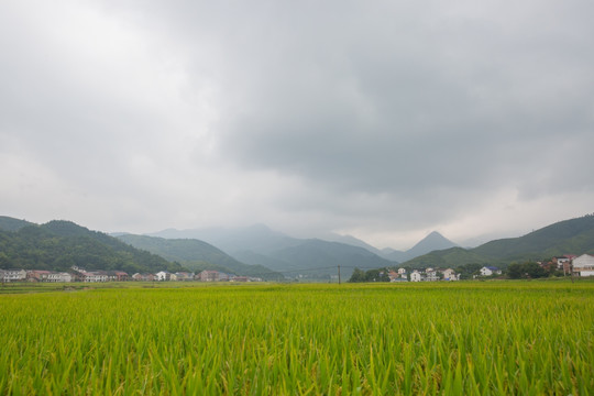 乡村风光