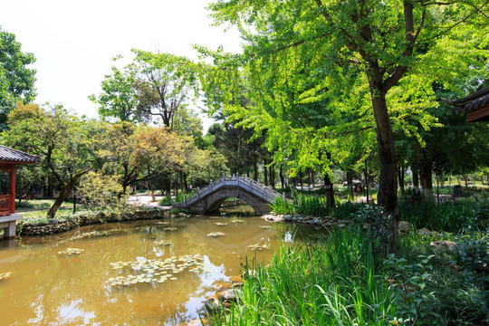 大理古城 玉洱公园 风光