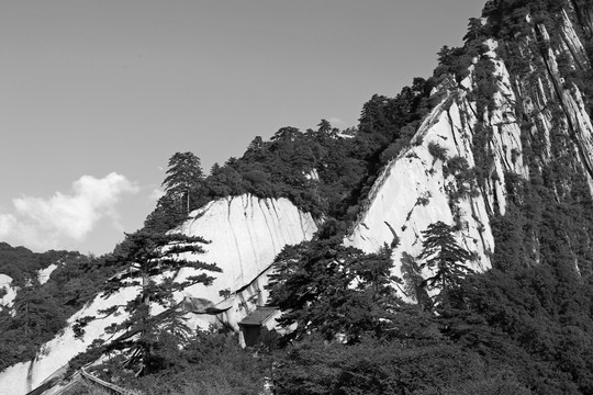 水墨华山