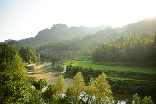 贵州山区农田