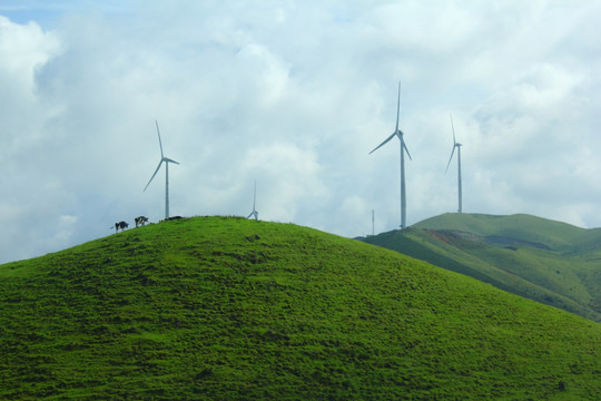 南山牧场