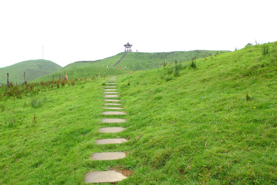 南山牧场