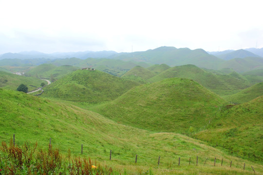 南山牧场