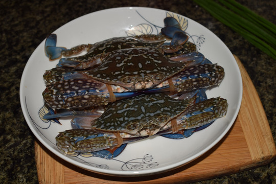 花蟹 海鲜 螃蟹 美食 烹饪