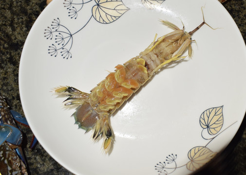 海鲜 虾蛄 海虾 爬虾 皮皮
