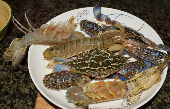 海鲜 虾蛄 海虾 花蟹