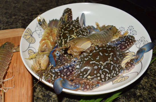 海鲜 虾蛄 花蟹