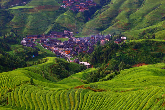 龙脊梯田 梯田