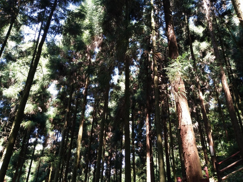 风景