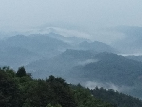 高山森林