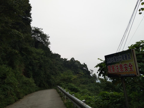 高山森林