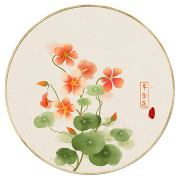 旱金蓮