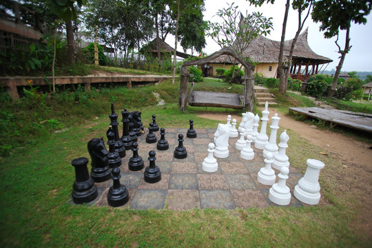 巨型国际象棋 大型国际象棋