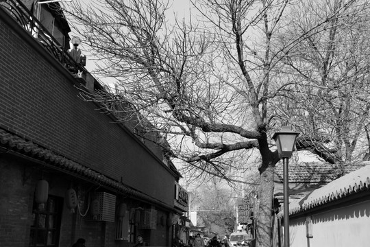 北京胡同 胡同 老北京 老街